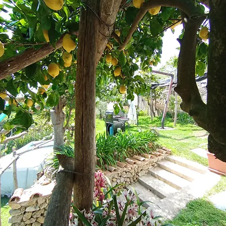 Casa Mia