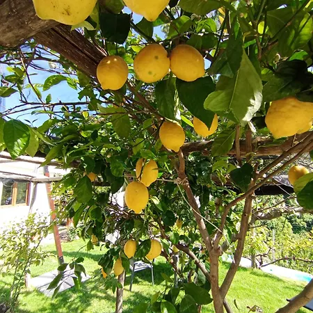 בית נופש Casa Mia