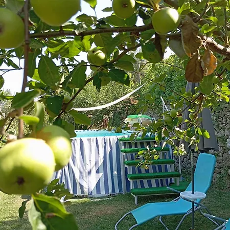 Casa Mia * סקאלה