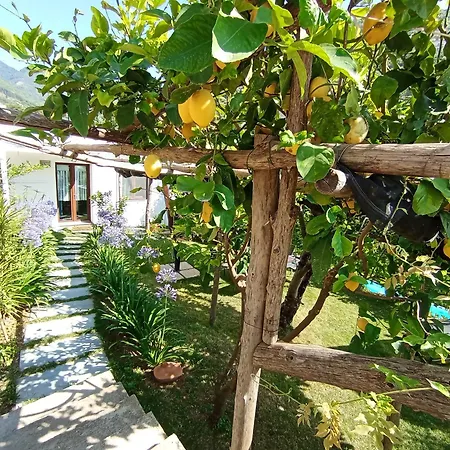 Casa Mia *