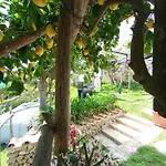 Casa Mia