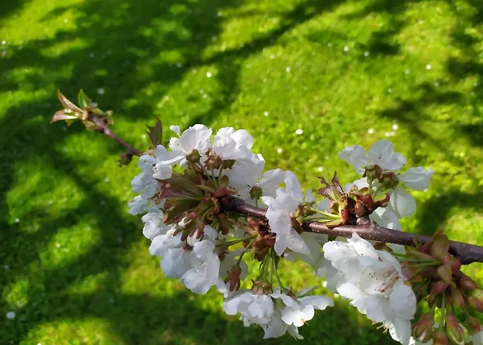 Casa Mia Semesterbostad Scala