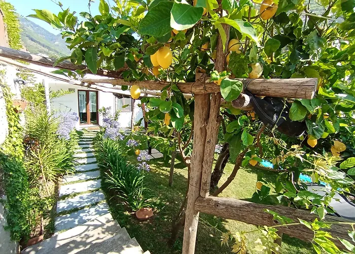 Casa Mia *