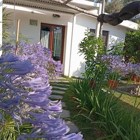 Casa Mia